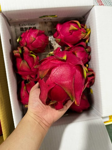 [芯鮮果]台灣嚴選( 紅龍果 )