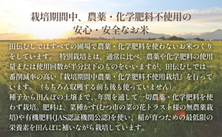 令和5年産 特別栽培米 ササニシキ 玄米 3kg