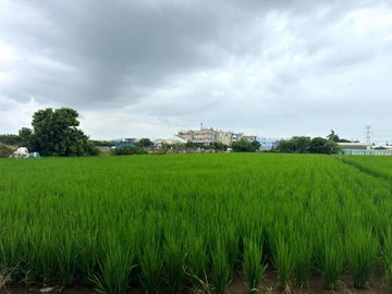 路竹華正｜路科生活圈二分美農地｜高雄市路竹區華正段