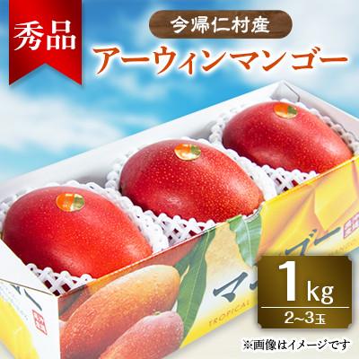 ふるさと納税 今帰仁村 今帰仁村産アーウィンマンゴー秀品1kg