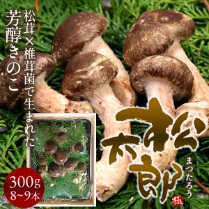 松太郎 きのこ 松茸×椎茸菌 芳醇キノコまつたろう 300g（8-9本）伊勢の国 三重県産