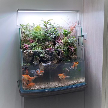 開運生態造景魚缸 AA-60海灣ㄇ型     居家風水、最佳選擇