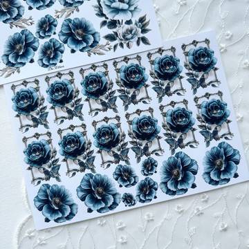 A390 -  ينتو 季節 花