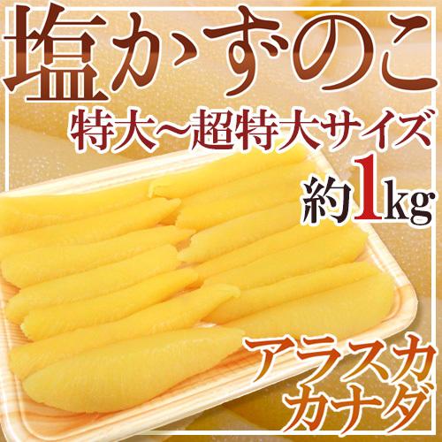 アラスカ・カナダ・北海道  ”塩数の子” ジャンボ一本羽！特大〜特特大以上サイズ 約1kg かずのこ 塩数の子 カズノコ 送料無料