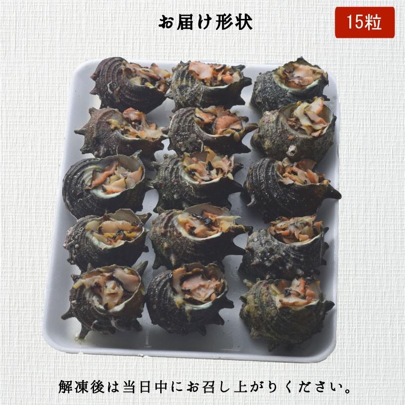 長崎産お刺身サザエ　１５粒　さざえ　調理済み　お刺身　つぼ焼き　バーベキュー　金沢まいもん寿司