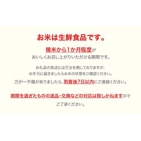 ふるさと納税 米 新米 20kg 5kg×4 はえぬき 精米 令和5年産 2023年産 山形県村山市産 ※沖縄・離島への配送不可 ja-haxxa20 山形県村山市