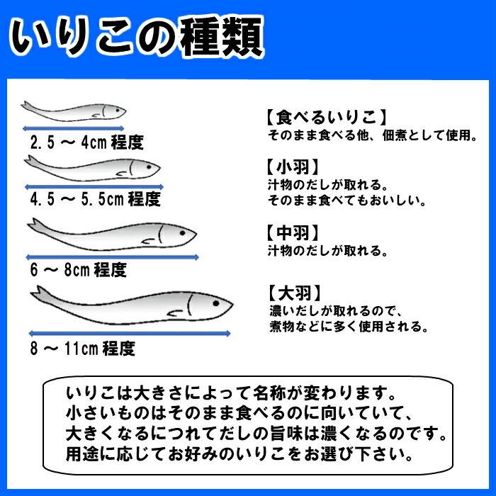 送料無料 ゆうパック 煮干し 中羽 100ｇ いりこ にぼし だし 出汁 だし用 出汁用