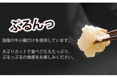 もつ鍋セット 牛もつたっぷり600g！大容量5-6人前(あごだし醤油味) 博多もつ鍋やまや