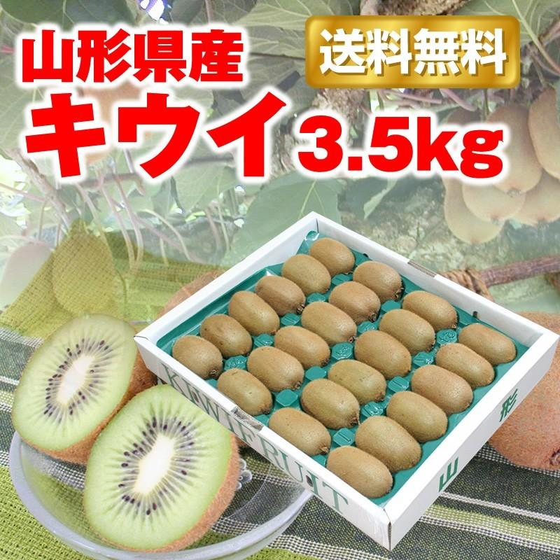 キウイ フルーツ 送料無料 山形県産 約3.5kg（24-33玉)