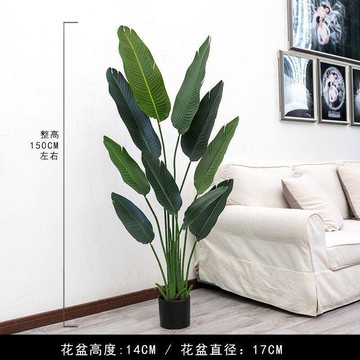 芭蕉樹仿真綠植旅人蕉盆栽擺件客廳裝飾假綠植龜背葉室內落擺設