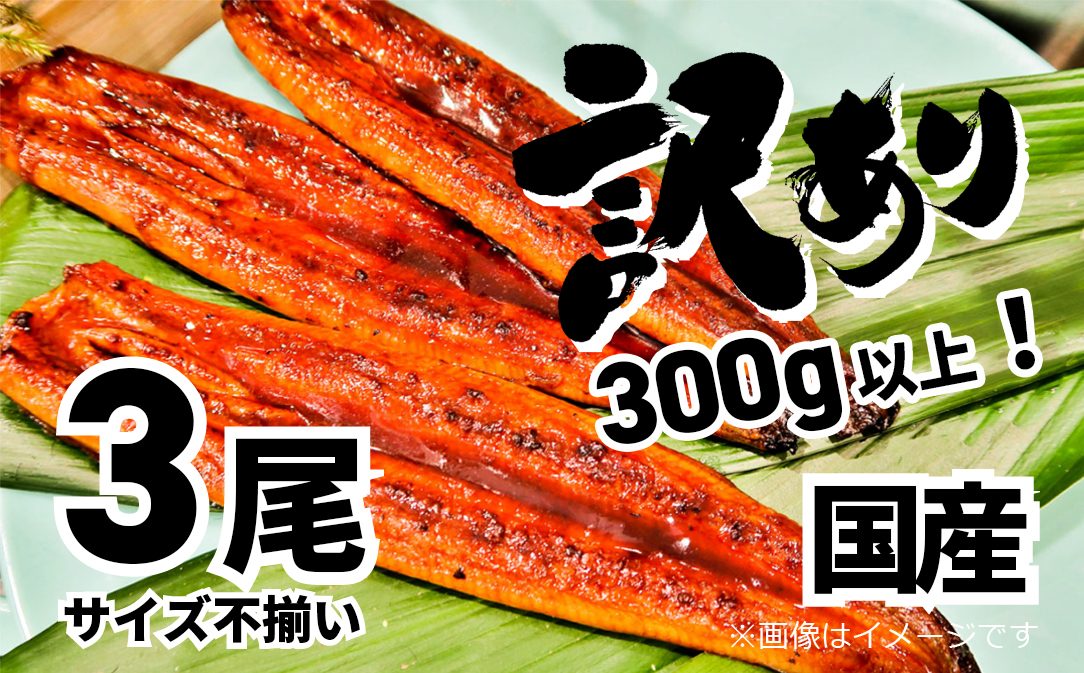 K1804 〈2024年03月発送〉さかい河岸水産の国産うなぎ３尾 300g以上！ ※サイズ不揃い