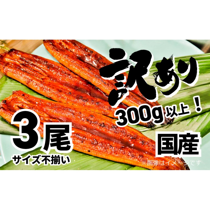 ※サイズ不揃い　300g以上！　LINEショッピング　K1804　〈2024年03月発送〉【訳あり】さかい河岸水産の国産うなぎ３尾