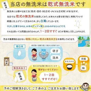 ふるさと納税  佐渡島産新之助 無洗米5Kg 新潟県佐渡市