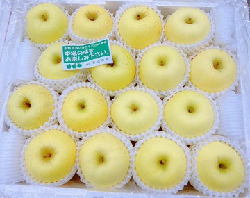 【帕查嬤嬤】????日本 青森 限量頂級《冬戀》蜜蘋果 2顆透明盒裝｜日本青森蘋果