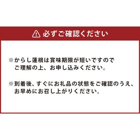 ふるさと納税 ふるさとセット からし蓮根×2本 肥後天×3個 燻製蒲鉾×4本 熊本県水俣市