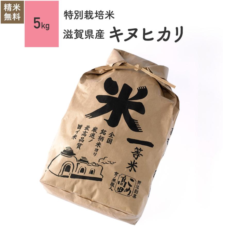 米 お米 5kg キヌヒカリ 滋賀県産 特別栽培米 5年産