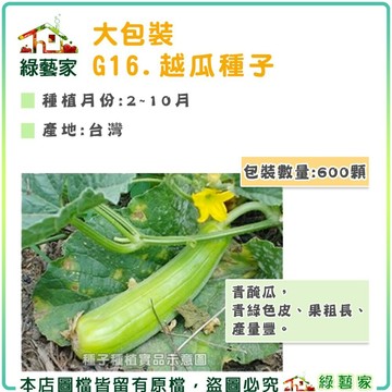 【綠藝家】大包裝G16.越瓜(青醃瓜)種子600顆(蔬菜種子)