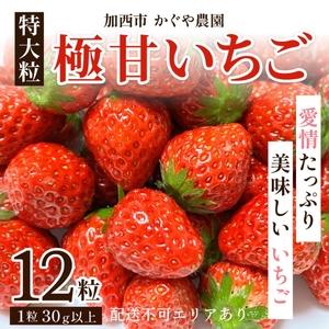 ふるさと納税 かぐや農園の極甘 いちご 特大粒 12粒 兵庫県加西市