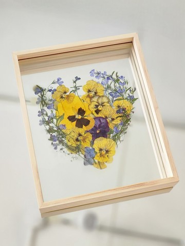 實木花框∣虎眼香菫花園∣花草標本