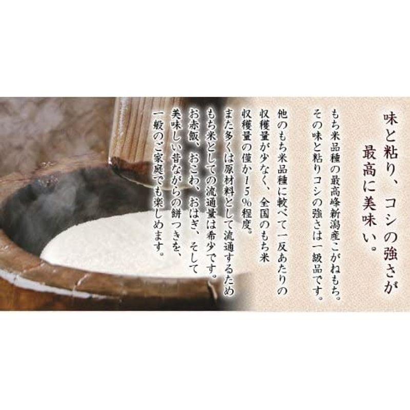 新米新潟県産 白米 こがねもち米 5kg 令和4年産