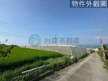 南投市大庄路旁2.1分網室木瓜園｜南投縣南投市茄苳腳段