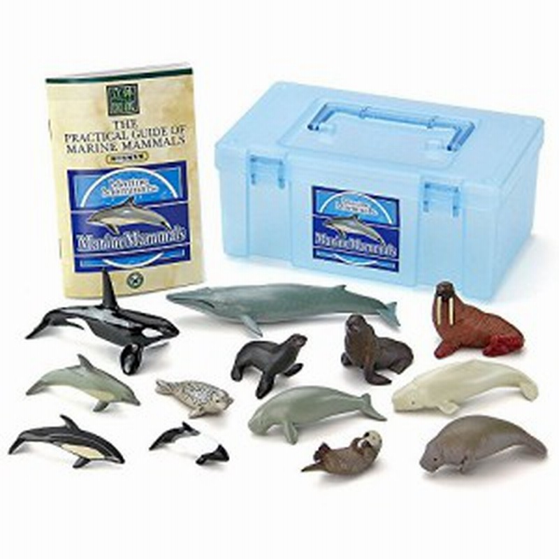 カロラータ 哺乳類 フィギュア ボックス 13種 立体図鑑 解説書付き クジラ イルカ 海の生き物 海洋生物 リアル 図鑑 おもち 通販 Lineポイント最大1 0 Get Lineショッピング