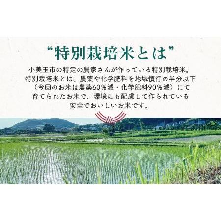 ふるさと納税 新米 コシヒカリ 5kg 12ヶ月定期便 こしひかり 5キロ 令和5年産 お米 特別栽培米 ご飯 白米 送料無料 減農薬 茨城県産米 茨城産.. 茨城県小美玉市