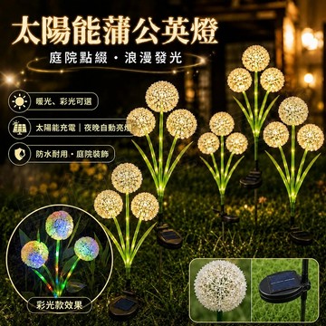 台灣現貨🌞蒲公英草坪燈 太陽能燈 太陽能草坪燈 草坪插燈 草坪燈 太陽能戶外燈 太陽能感應燈 防水燈 庭院燈 裝飾燈