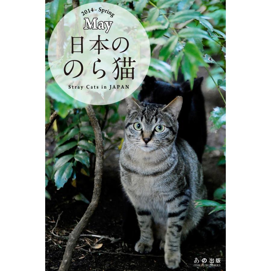 日本ののら猫 電子書籍版   武田晶 奥村侑生市 恒川理恵