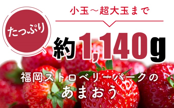 訳あり いちご 2024年2月下旬より発送 あまおう サイズ色々 4パック 約1.14kg 配送不可 離島