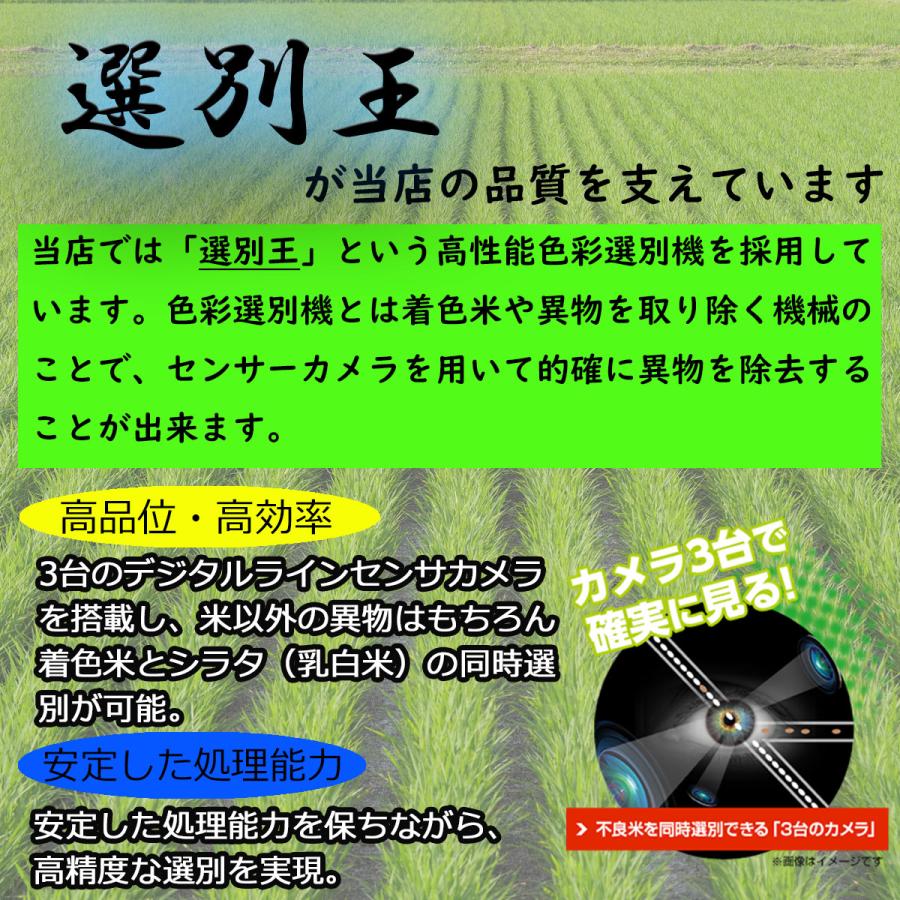 米 ミルキークイーン 白米 5kg 送料無料 高級 希少 化学肥料・農薬不使用 山形県産 令和5年産 美味しいお米 氷河米プレミアム 山形 庄内 農家直送