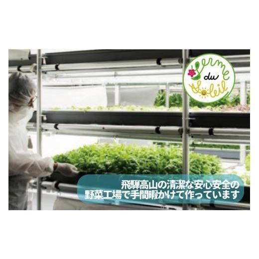 ふるさと納税 岐阜県 高山市 飛騨の新鮮モッツァレラ＆フレッシュ野菜 セット 6回お届け モッツァレラチーズ 6回 半年 チーズ ミックスリー…