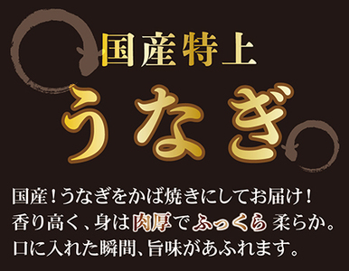 国産！特上うなぎのかば焼き 約200g × 3尾