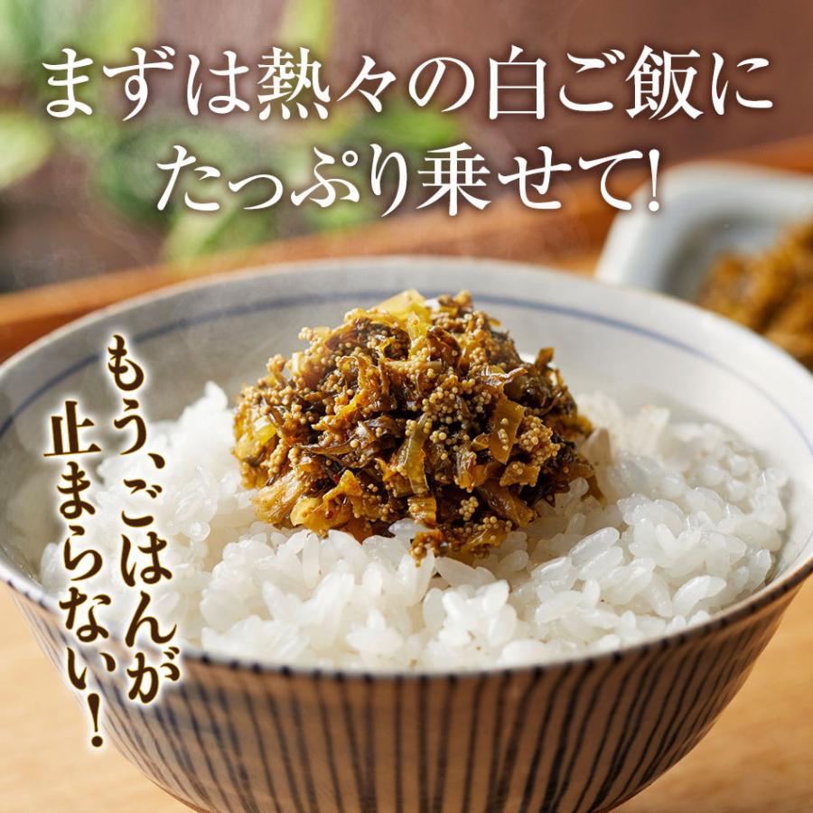 送料無料 からし明太子高菜 165g×6袋