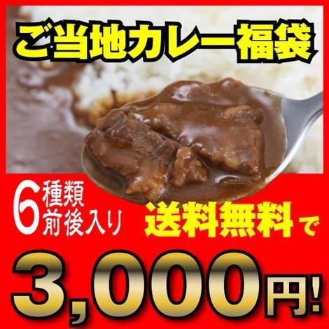 ご当地カレー「地カレー家詰め合わせ福袋（3000円セット）」送料無料