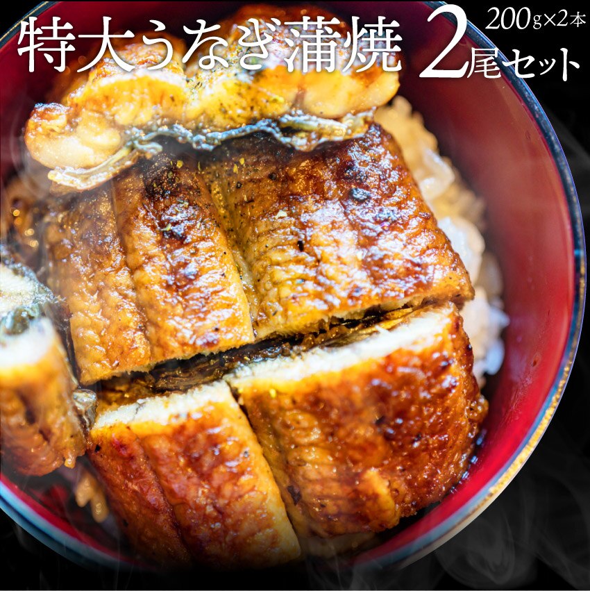 うなぎ蒲焼 2本入り（200ｇ2）たれ山椒付き 鰻 かば焼き 土用 丑の日 湯煎 レンチン レンジO