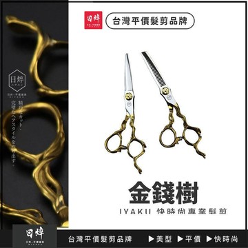 美髮剪刀(金錢樹) 6吋 平剪 打薄剪 牙剪 瀏海剪刀 美髮工具 理髮 沙龍專用 現貨 免運 艾菲爾髮品