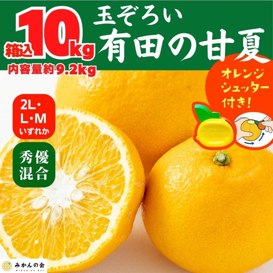 甘夏 玉ぞろい 箱込 10kg 内容量約 9.2kg 秀品 優品 混合 2L  L M サイズのいずれか 和歌山県 産地直送  