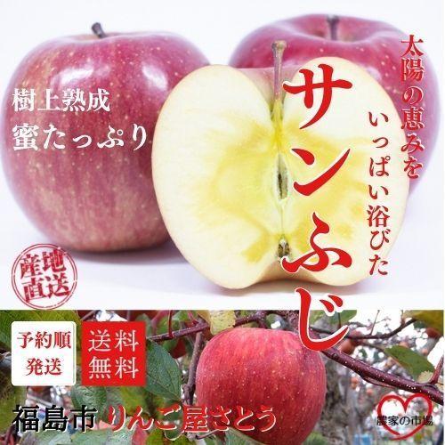 りんご サンふじ 3L ３kg 箱（約9〜10個入り） 産地直送 送料無料 12月上旬〜順次発送 福島 りんご屋さとう