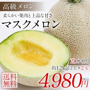 メロン マスクメロン 送料無料 ギフト 2L サイズ 2玉 九州産 1玉約1.2kg以上×2玉 贈答 高級 7-14営業以内発送予定(土日祝除)