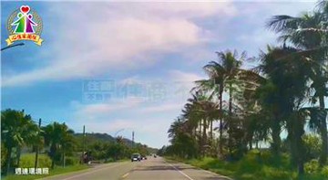 專約台東成功台11線旁農地｜台東縣成功鎮坪頂段​