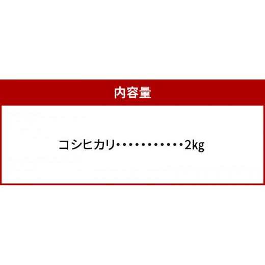 ふるさと納税 滋賀県 守山市 肥料屋厳選近江米コシヒカリ２kg