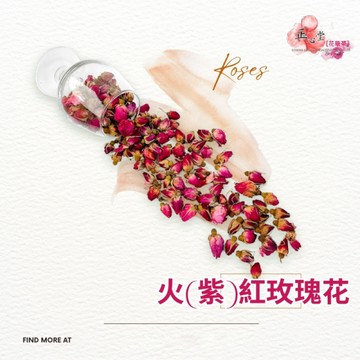 火紅玫瑰 小紫玫瑰 300克 檢驗合格 食品級 火(紫)紅玫瑰 【正心堂】