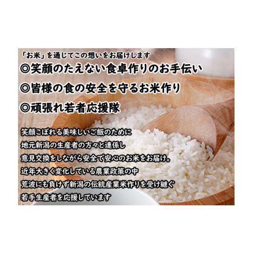 ふるさと納税 新潟県 新潟市 米 ６ヶ月定期便 令和５年産 新潟 新之助 ５kg 白米 精米 １等米 精米仕立てを発送致します