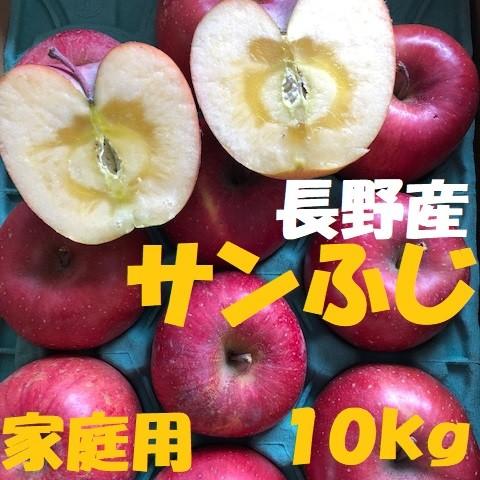 長野産　サンふじ　家庭用　約10kg　20玉〜40玉　産地直送　減農薬栽培