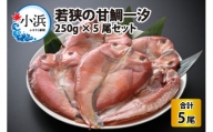 若狭の甘鯛一汐 250g × 5尾セット