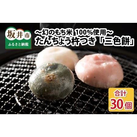 ふるさと納税 [A-2910] たんちょう杵つき「三色餅」 計30個 〜幻のもち米100％使用〜 福井県坂井市