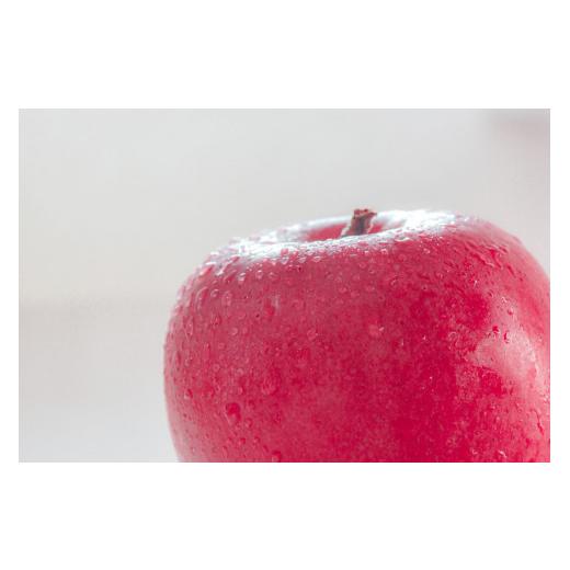 ふるさと納税 青森県 五所川原市   りんご 約10kg 青森産 品種おまかせ2種以上