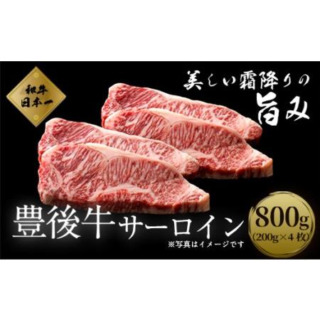 ふるさと納税 数量限定 大分県竹田市産おおいた和牛 サーロイン  大分県竹田市