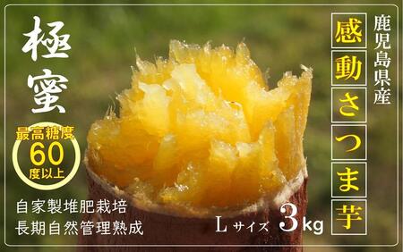 さつまいも 熟成 紅はるか3kg 1箱 Lサイズ 鹿児島県産 2024年2月末までに発送